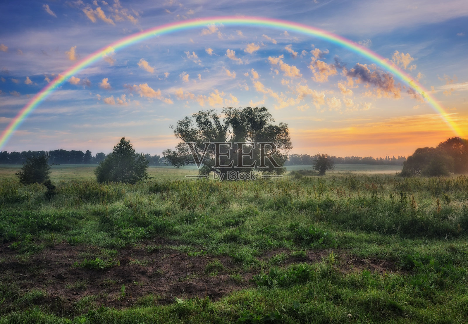 春天草地上的彩虹照片摄影图片