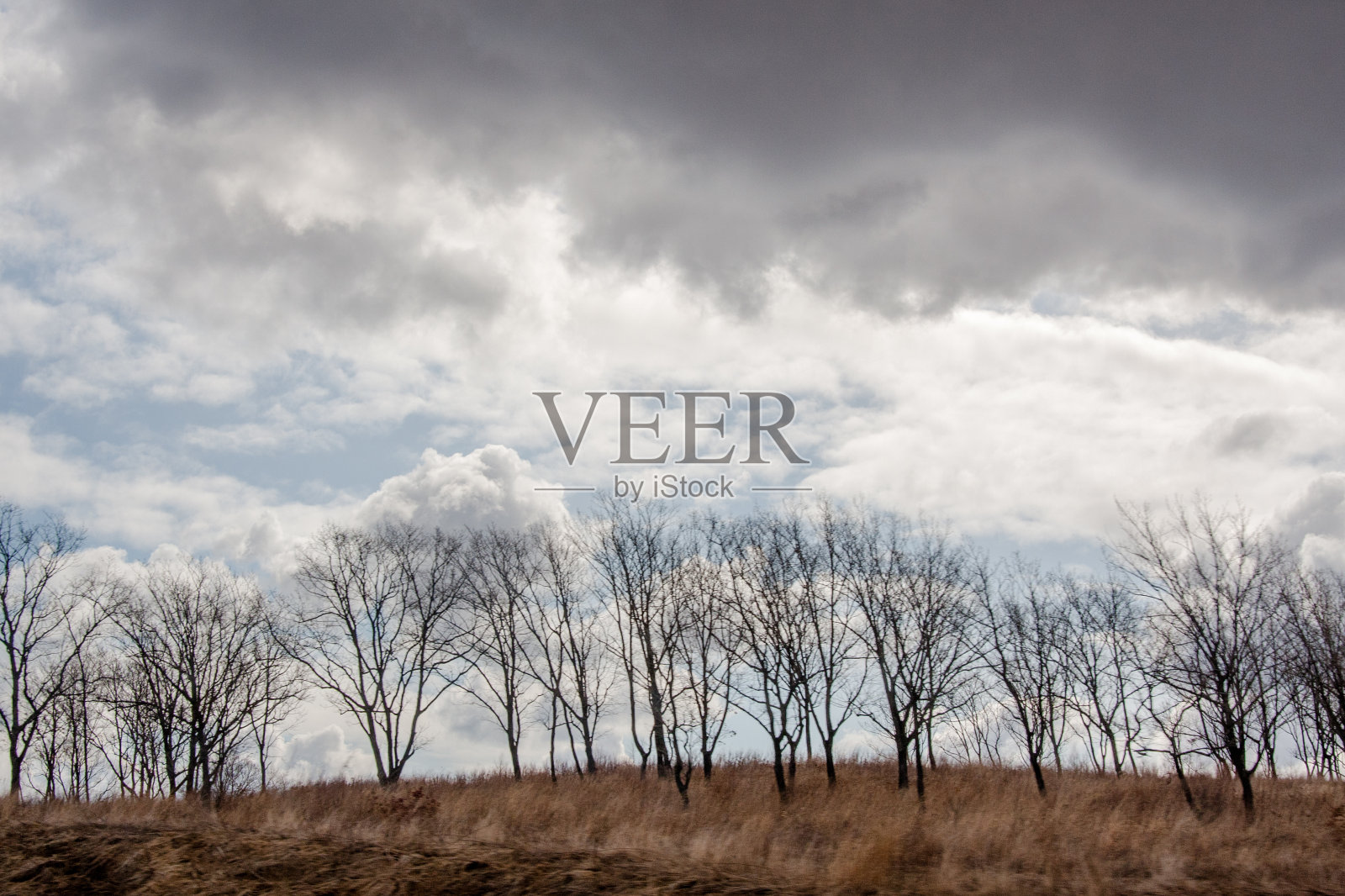 透过车窗，可以瞥见俄罗斯春天的自然风光照片摄影图片