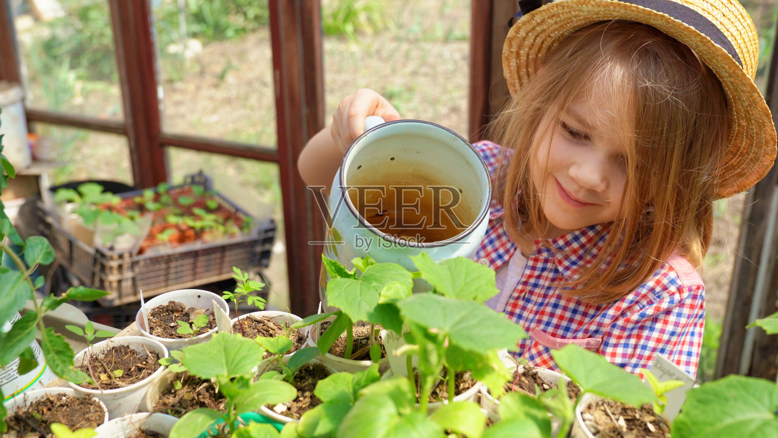 可爱的小女孩戴着帽子给幼苗浇水照片摄影图片