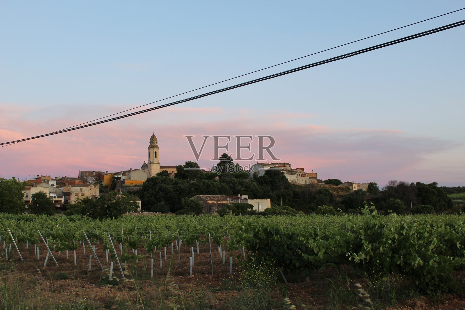 葡萄园地和纽勒斯的天际线，西班牙照片摄影图片