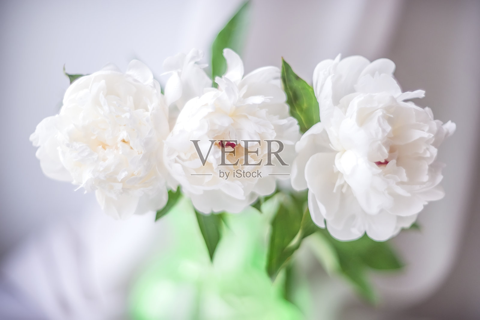 三朵白牡丹插在一个绿色的花瓶上，背景很模糊(选择性聚焦)照片摄影图片