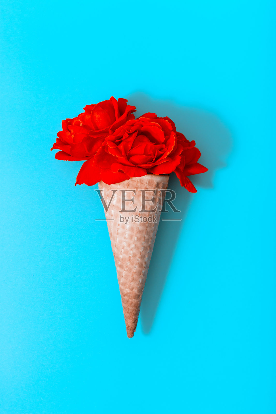 美丽的红玫瑰在华夫角在蓝色的背景，从上面看照片摄影图片
