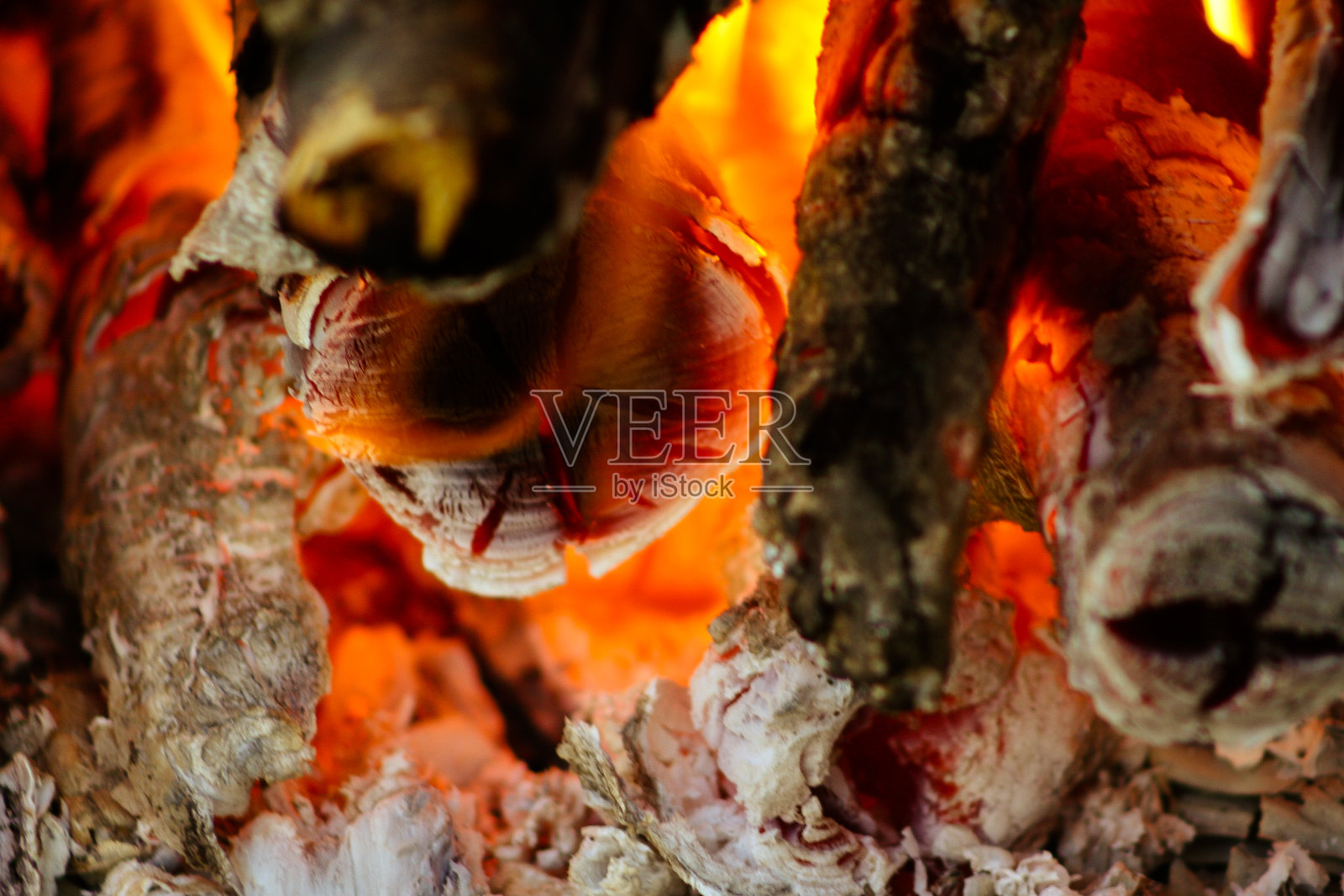 泰国和老挝森林火灾的概念背景。树林里起火了。树枝着火了。危险。照片摄影图片