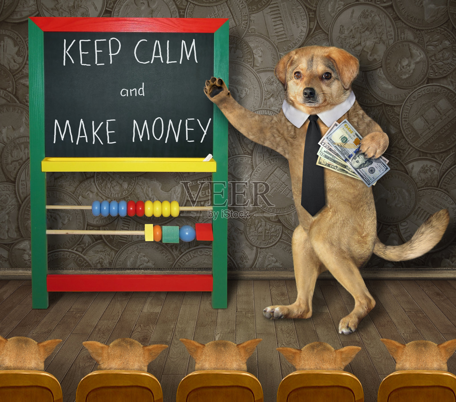 商务课上的狗老师照片摄影图片