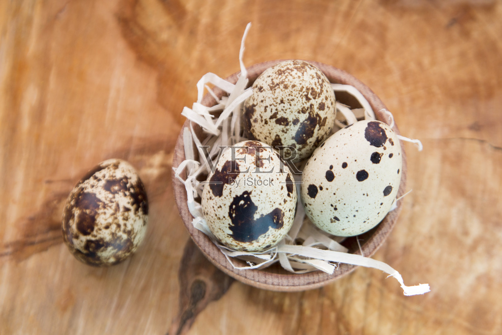 温柔的鹌鹑蛋在一棵树上照片摄影图片