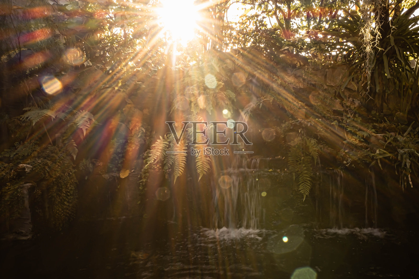 复古复古效果过滤潮人风格的热带瀑布与阳光的形象。阳光瀑布照片摄影图片