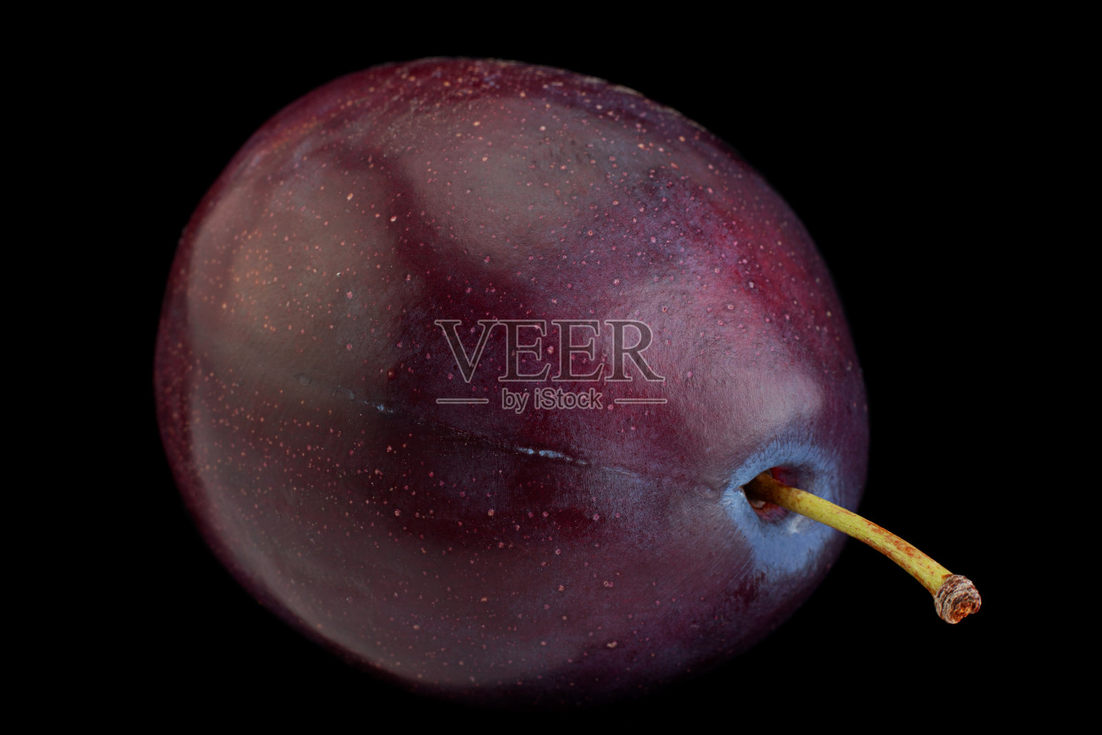 紫梅特写镜头照片摄影图片