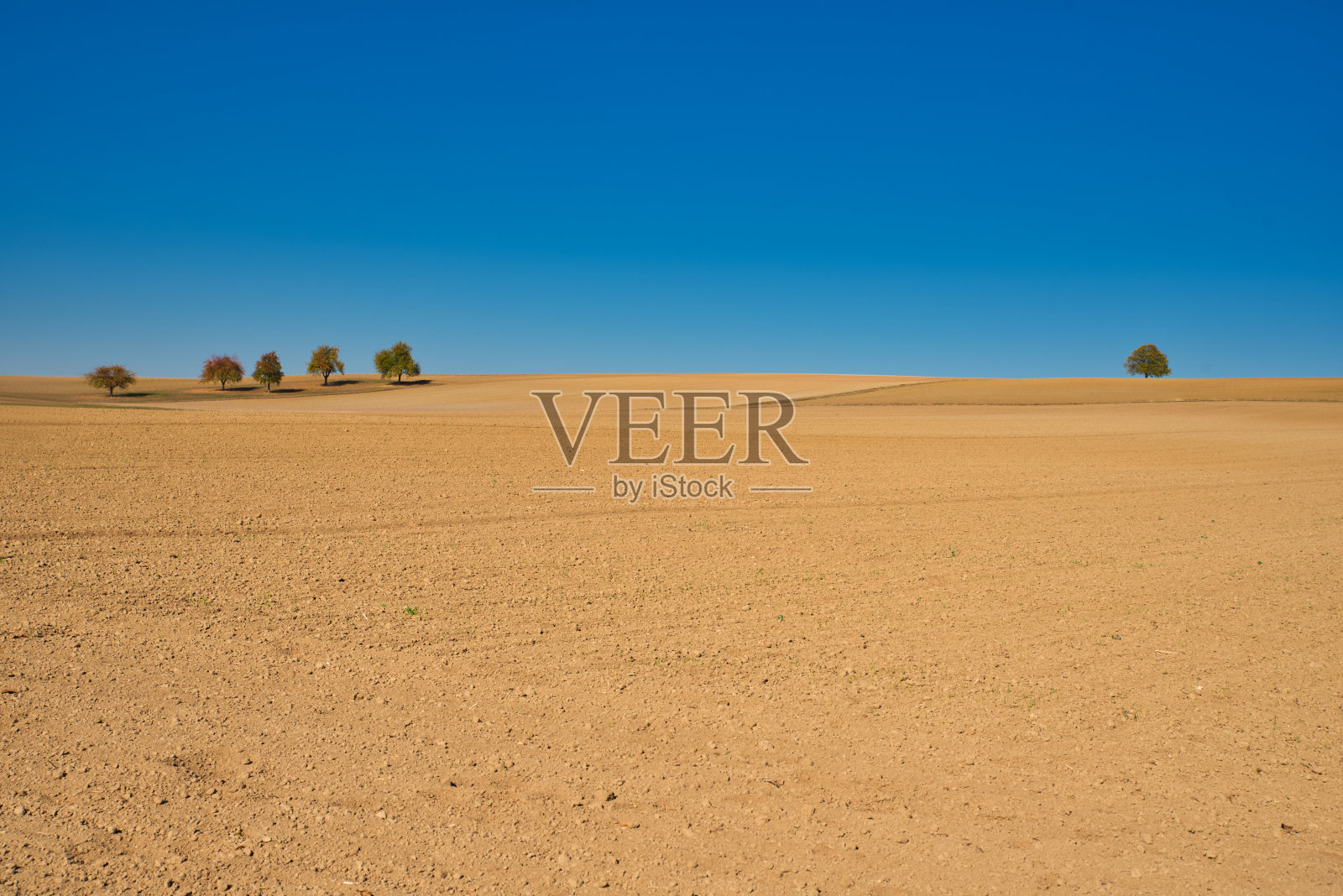 留茬地照片摄影图片