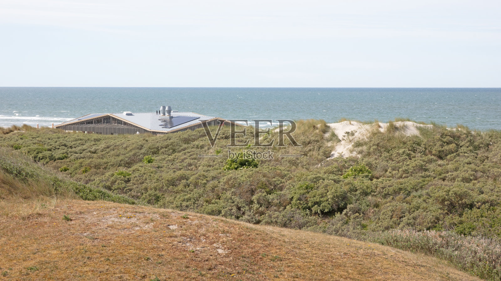 沙丘，北海和瓦登海海岸自然保护区在阿美兰，荷兰照片摄影图片