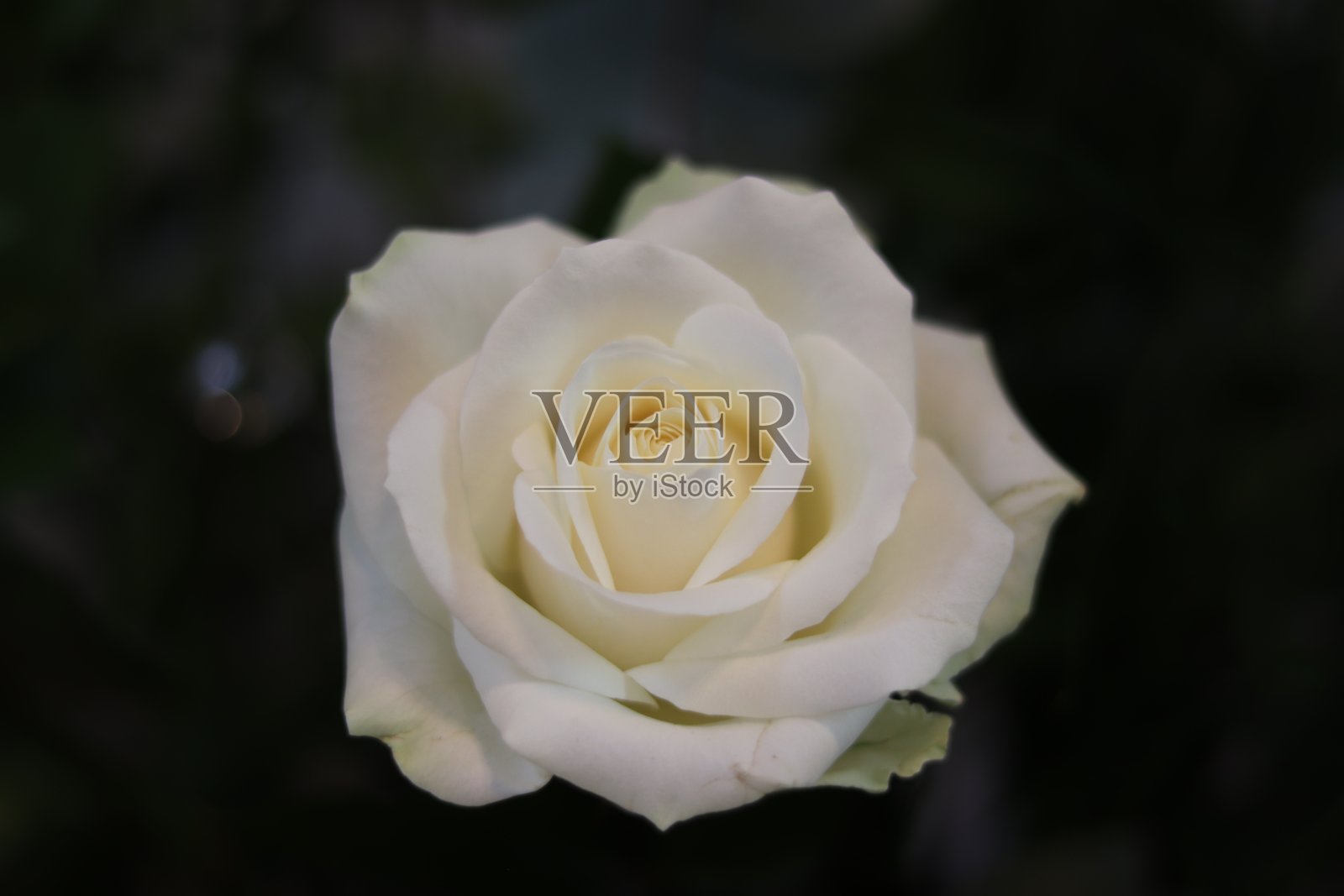 《Manningtree的日落照片摄影图片