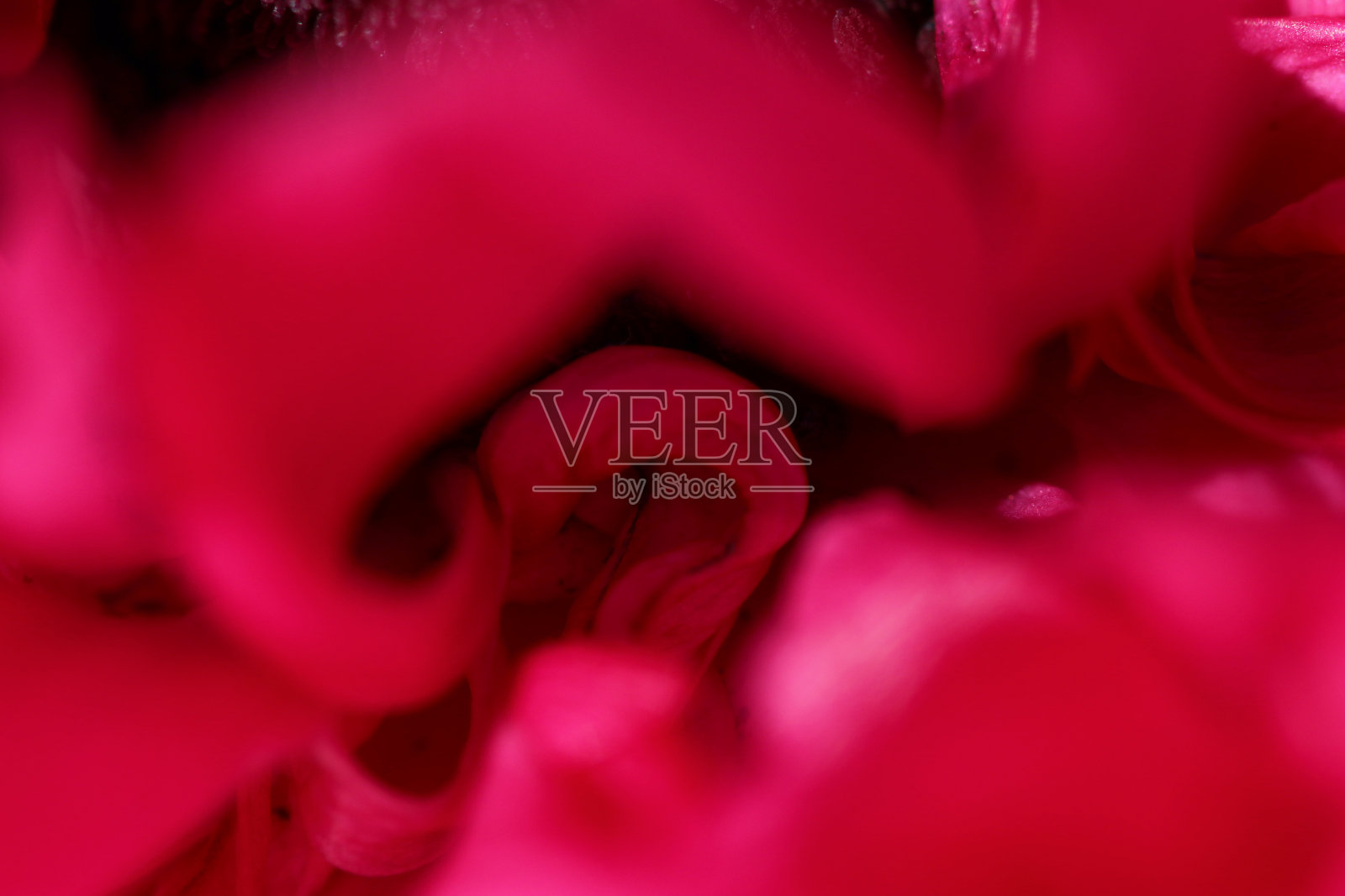 拉农克尔照片摄影图片