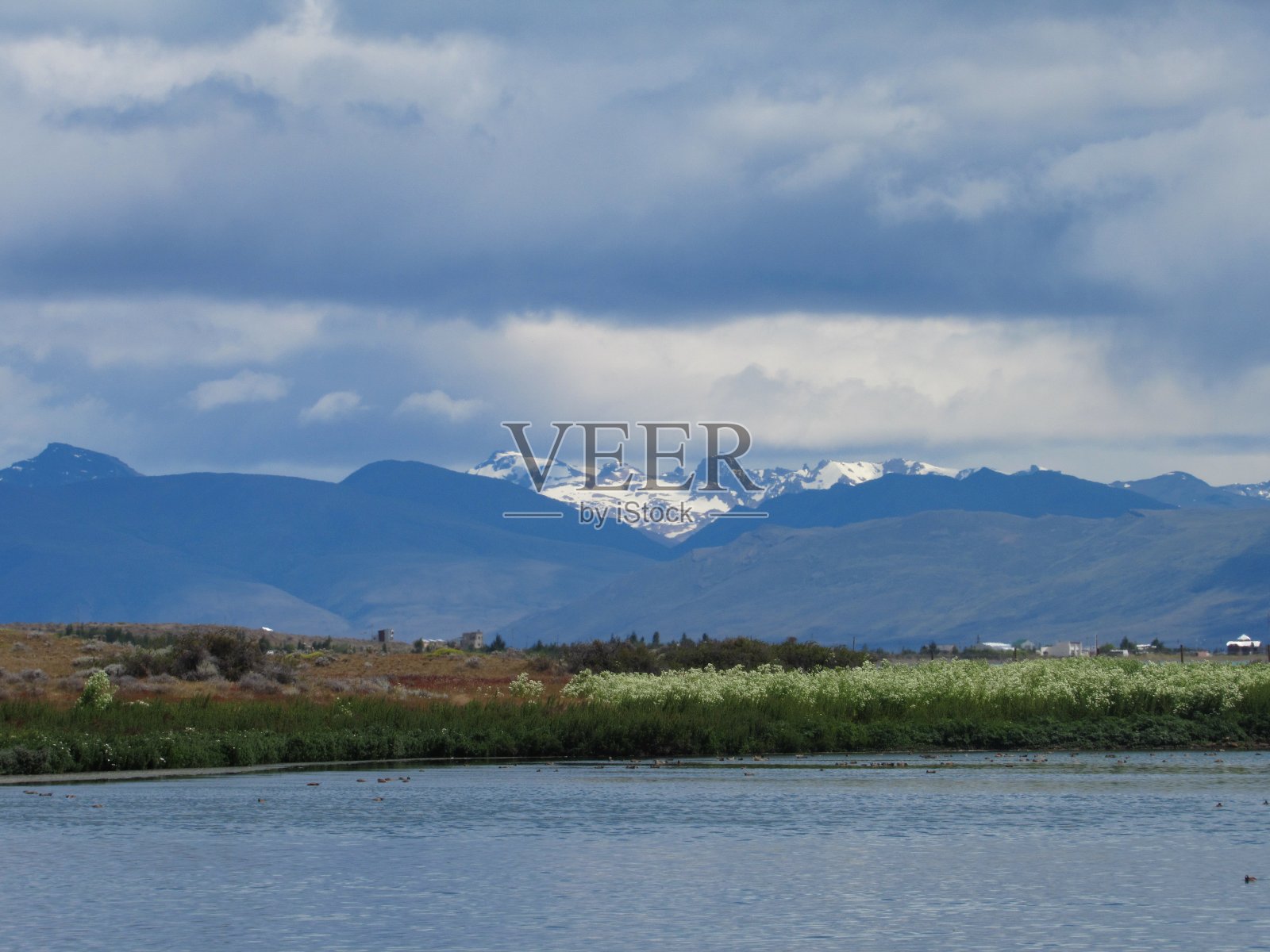 阿根廷湖畔El Calafate的Laguna Nimez保护区。照片摄影图片