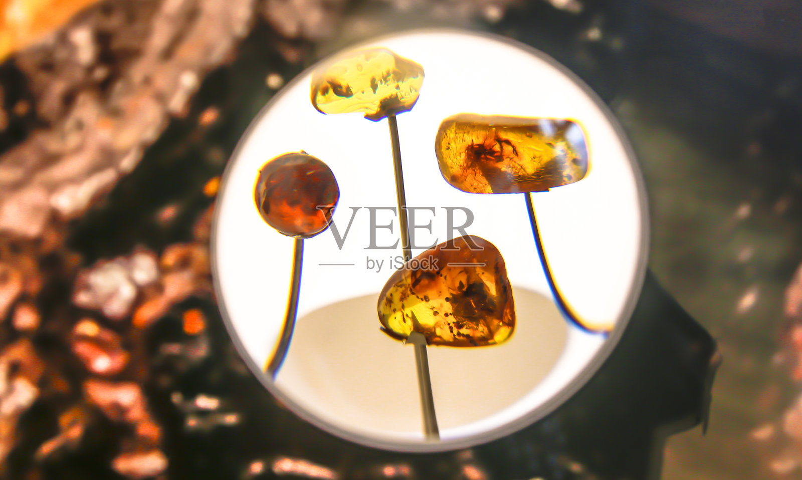 琥珀的碎片特写。天然琥珀，里面有文物。照片摄影图片