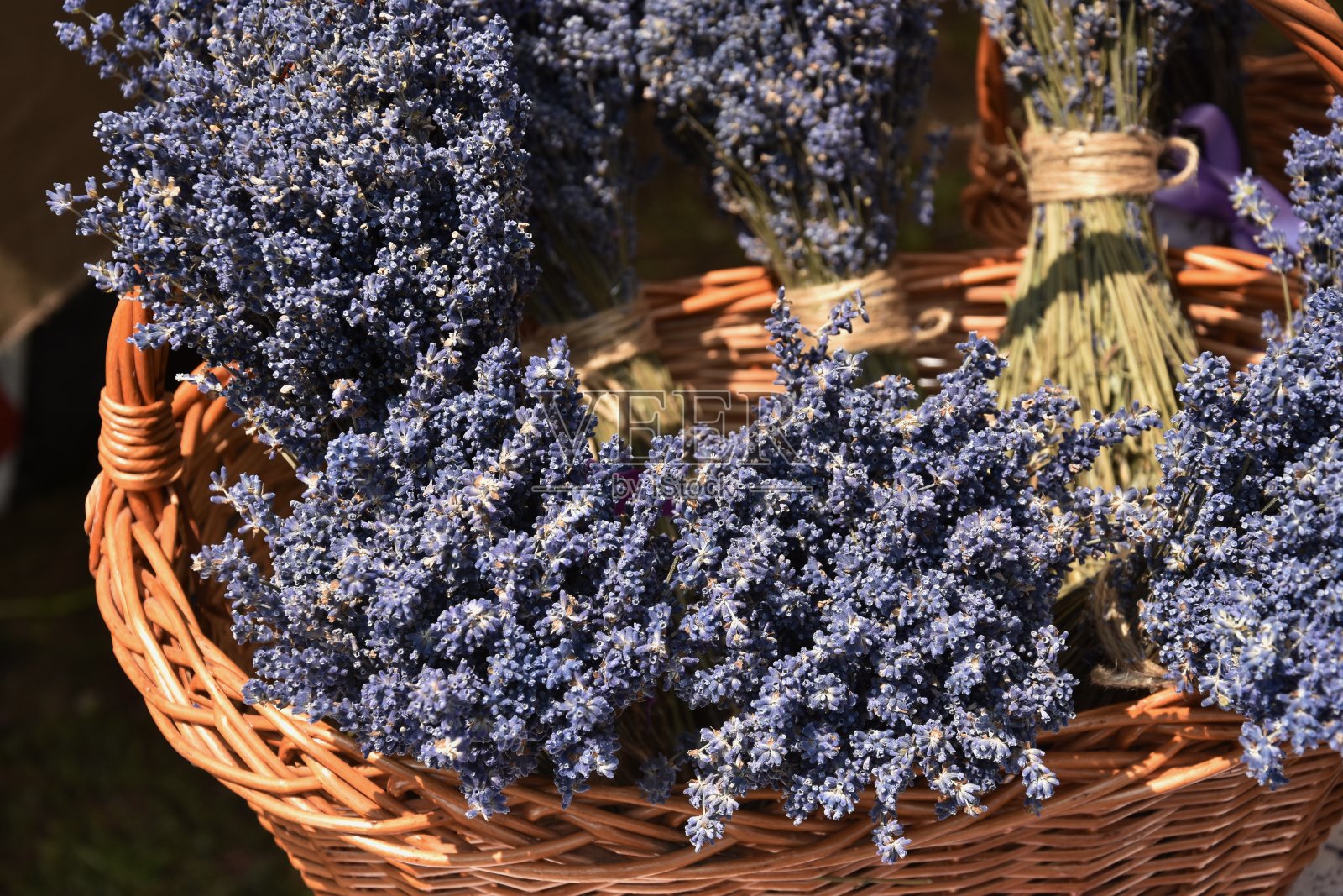 柳条篮子里的薰衣草花照片摄影图片