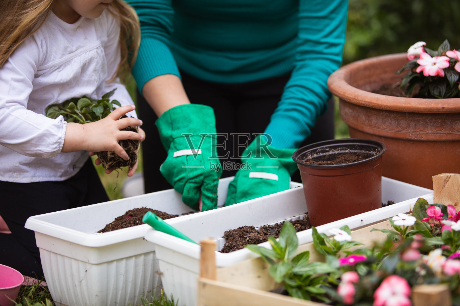 幼童盆栽鲜花和植物与她的母亲照片摄影图片