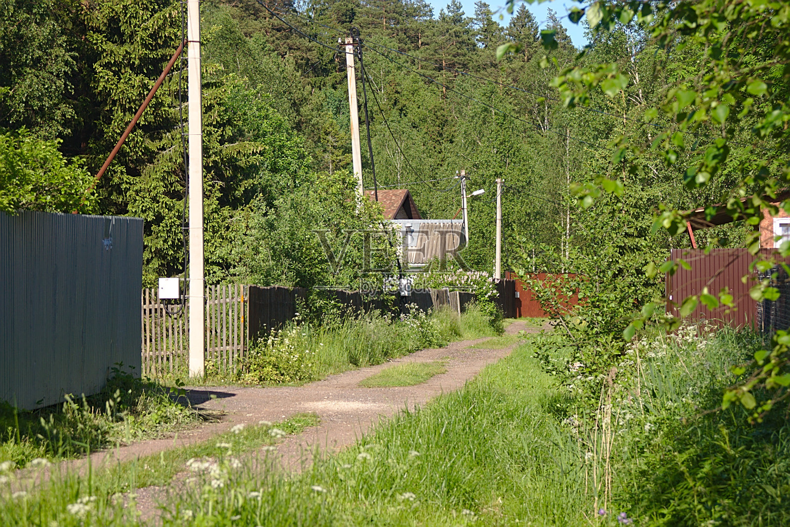 夏日里一个夏日村庄的街道照片摄影图片