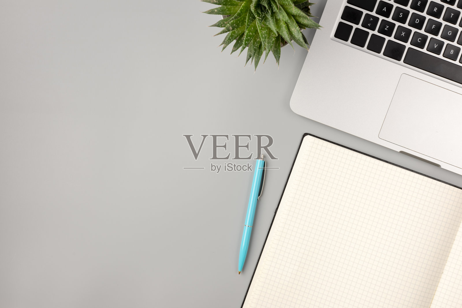 工作办公桌桌上的笔记本电脑，记事本，和家庭植物。顶视图与拷贝空间，平铺财务背景照片摄影图片