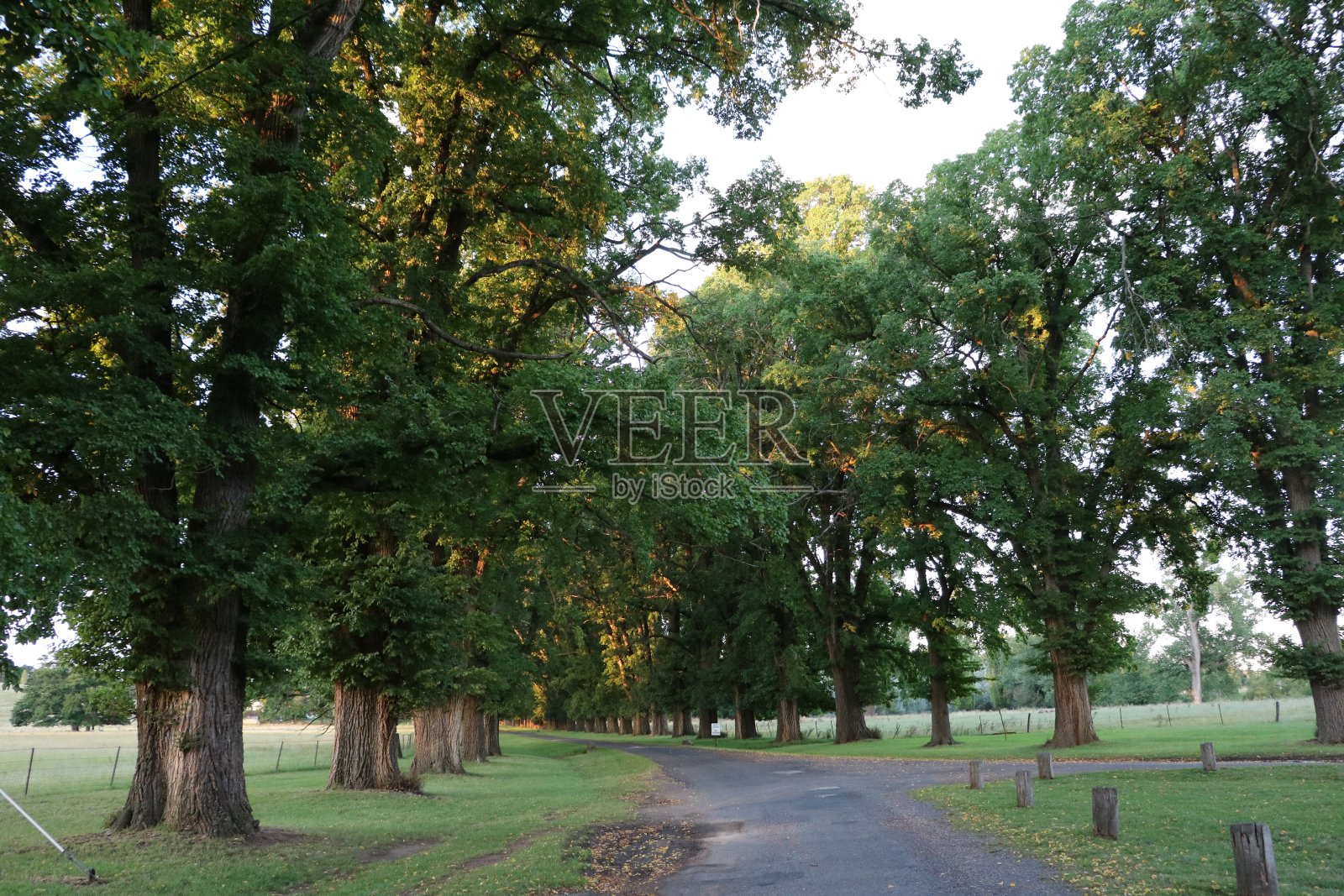 Gostwyck教堂，英国圣公会教堂，澳大利亚照片摄影图片