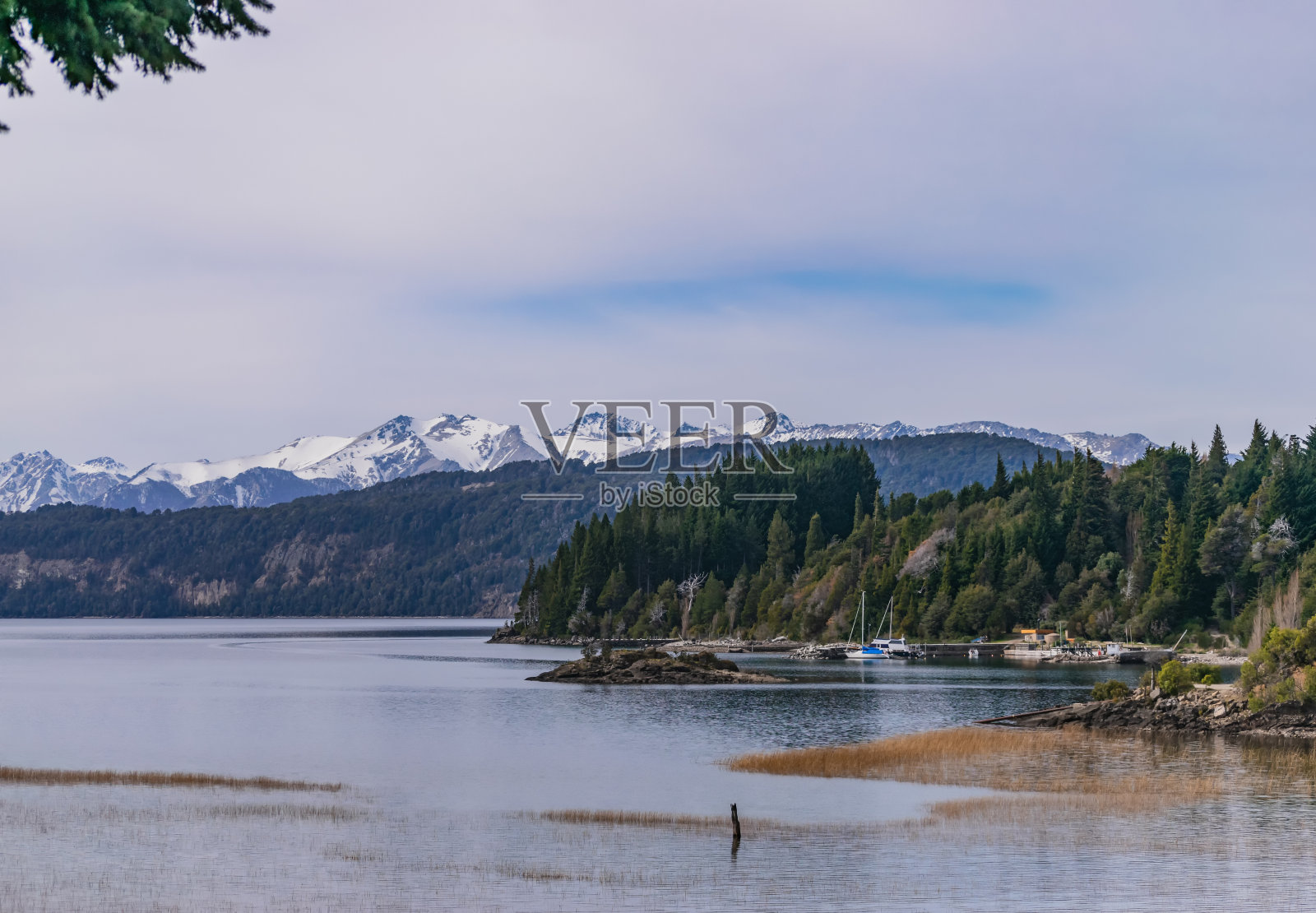 有雪山和松林的巴塔哥尼亚湖照片摄影图片