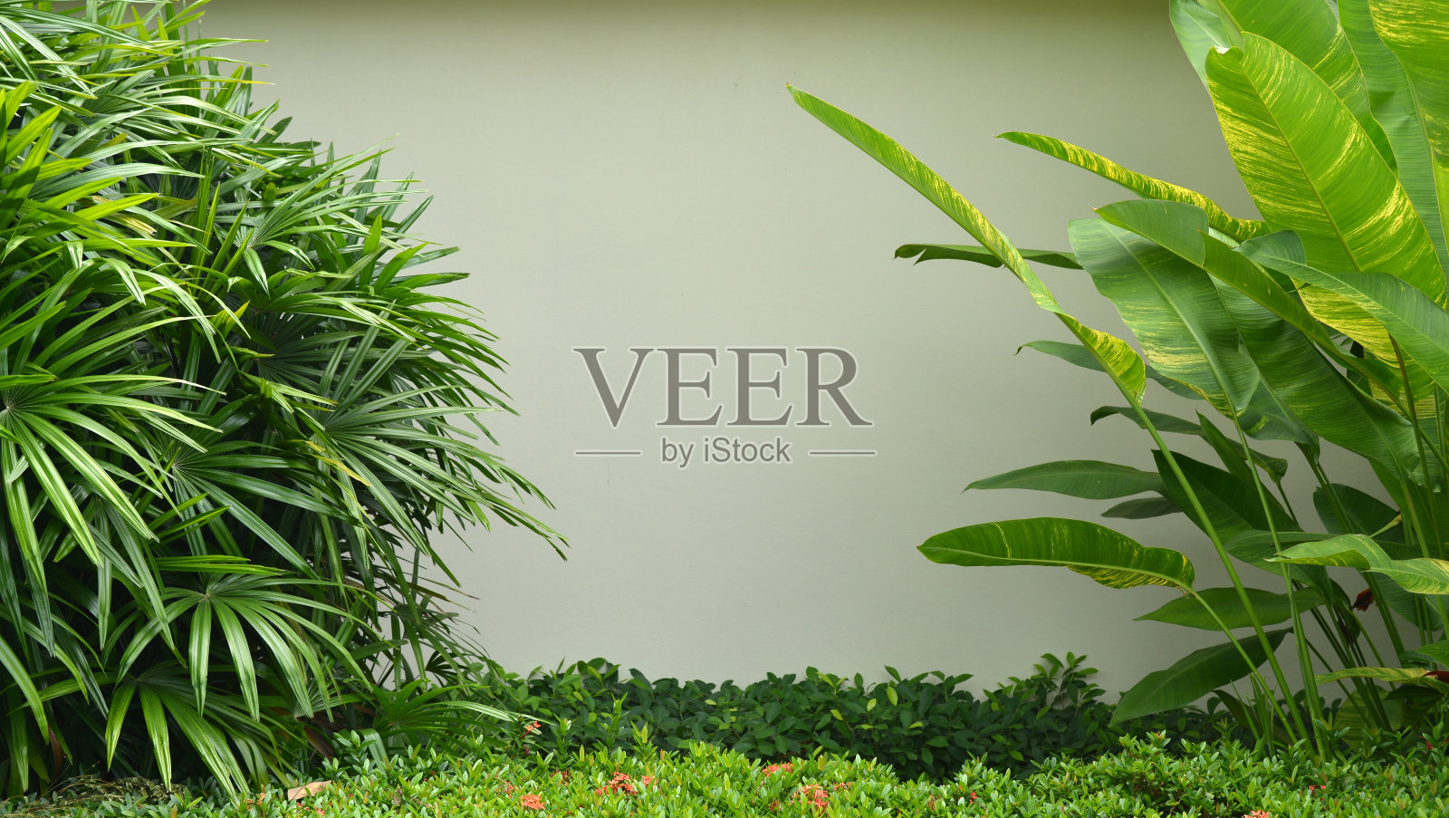 灰墙的房子特写。照片摄影图片