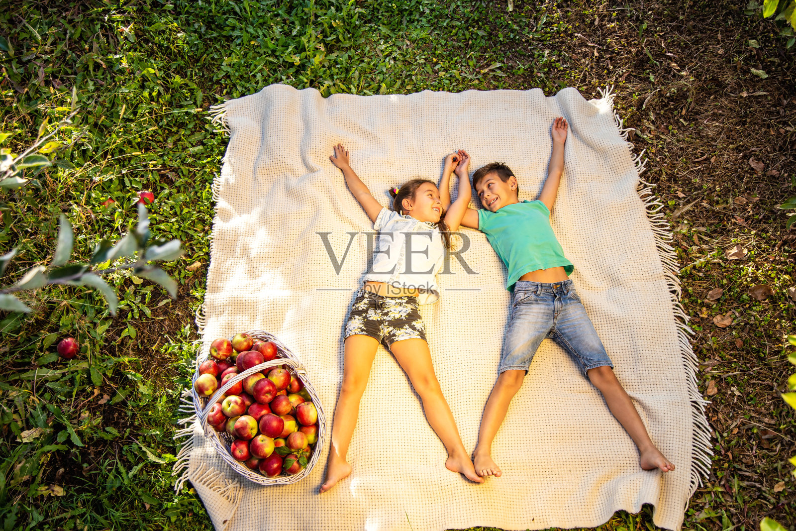 俯视图照片中，厚脸皮的兄弟姐妹躺在花园里的格子布上，旁边放着一大篮苹果，享受着一起的时光。照片摄影图片