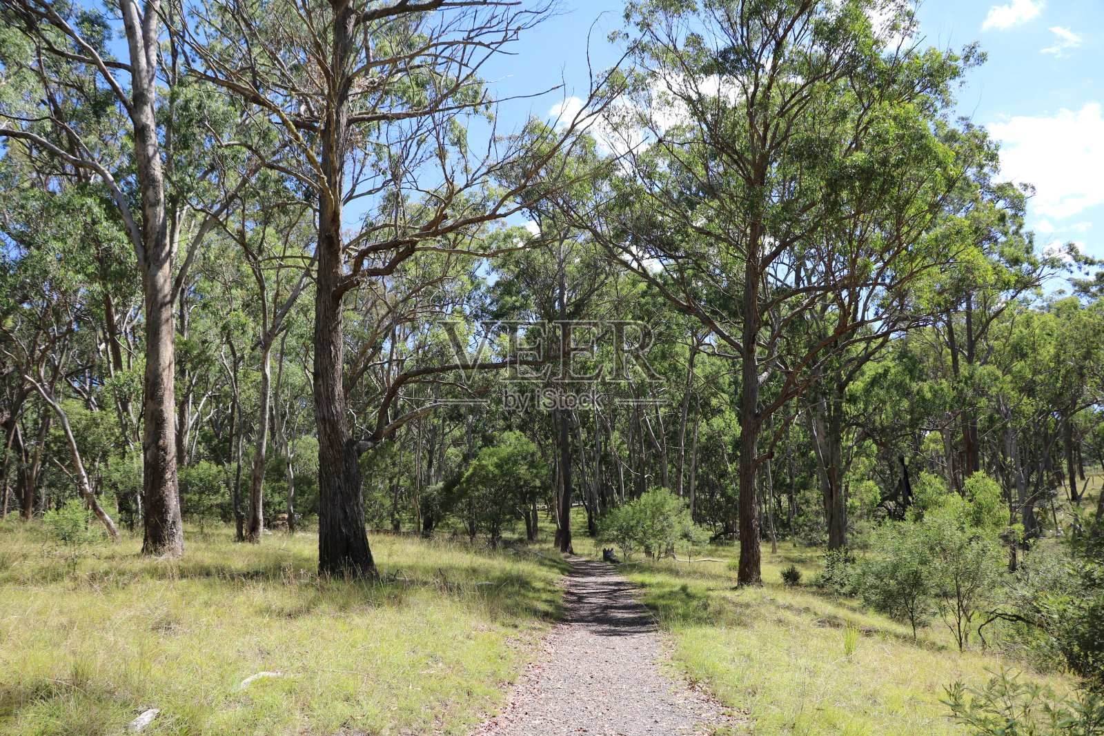 在澳大利亚新南威尔士州的奥克斯利野生河流国家公园度假照片摄影图片