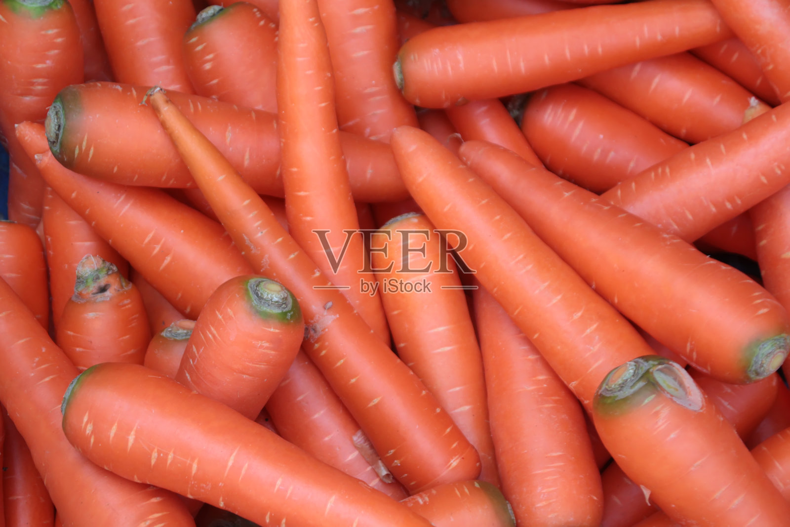 鲜橙甜胡萝卜出售照片摄影图片