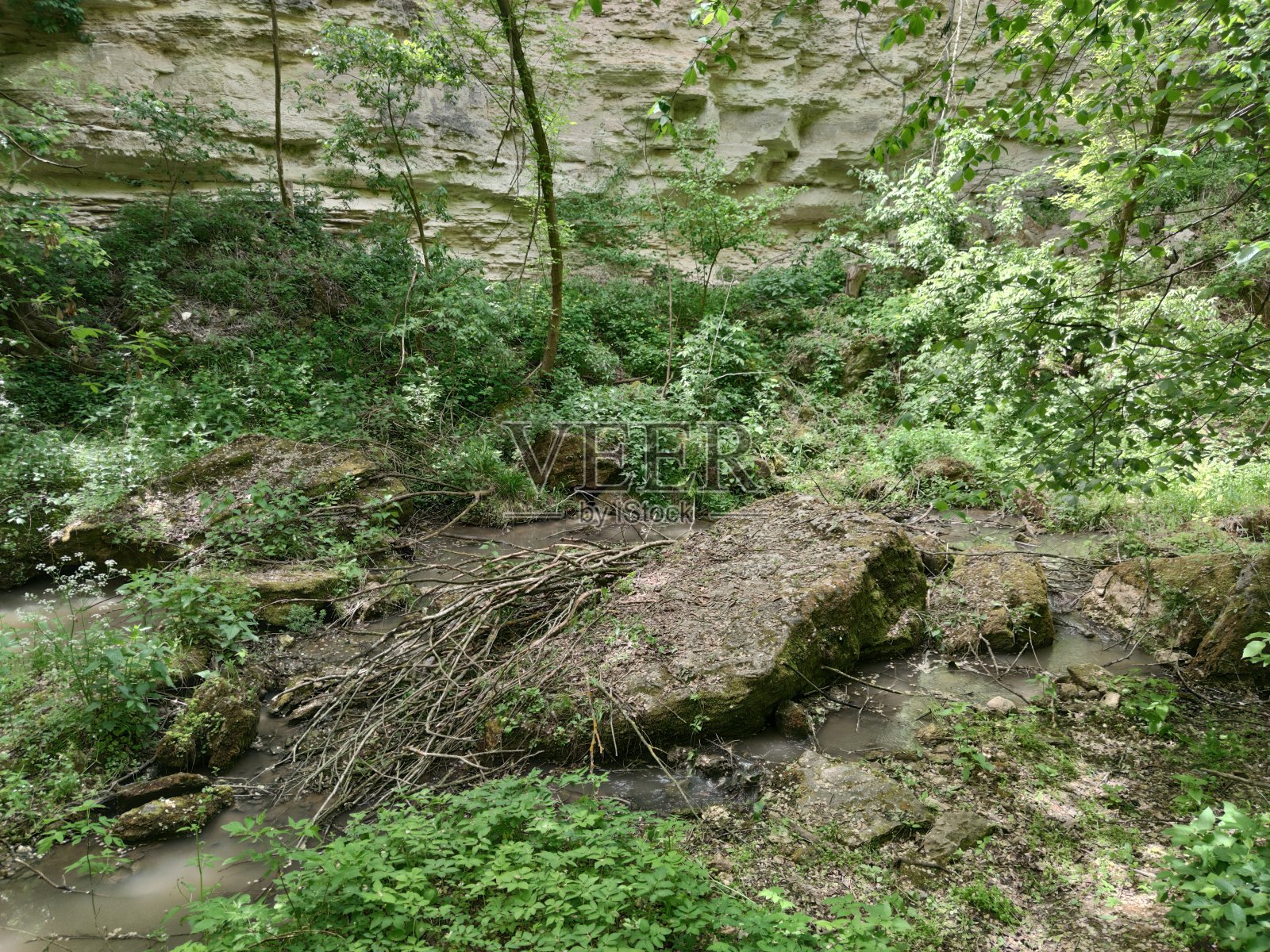 森林中宽阔的溪流。干树枝，大石头。小瀑布。岩墙. .Saharna-Moldova照片摄影图片