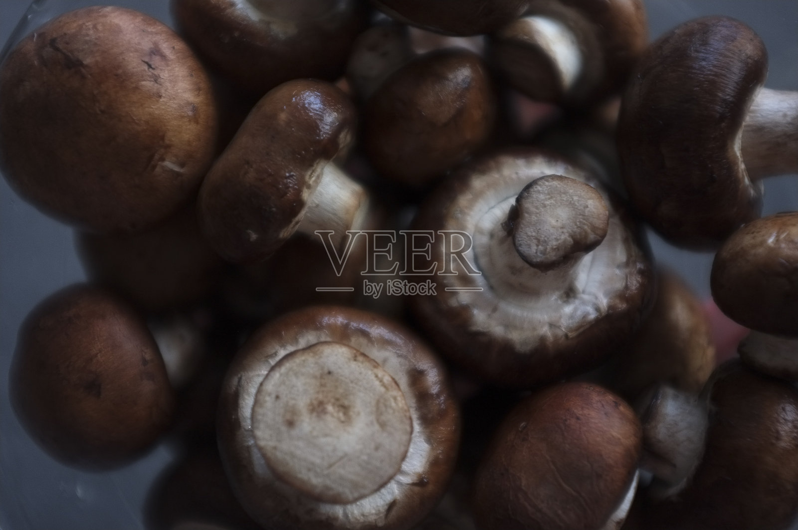 玻璃碗里的蘑菇照片摄影图片