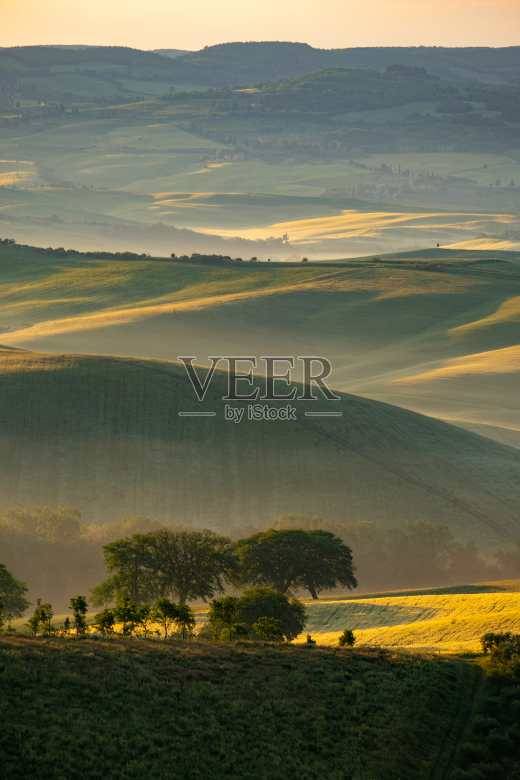 美丽的绿色在风景和灯光。照片摄影图片