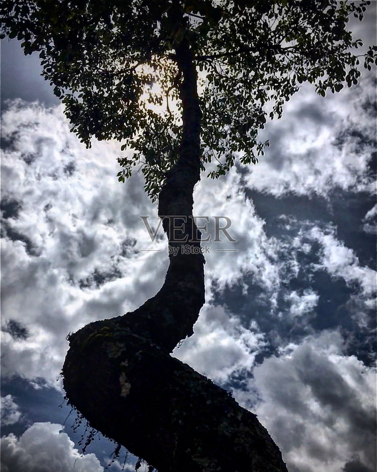 在这个星球上照片摄影图片