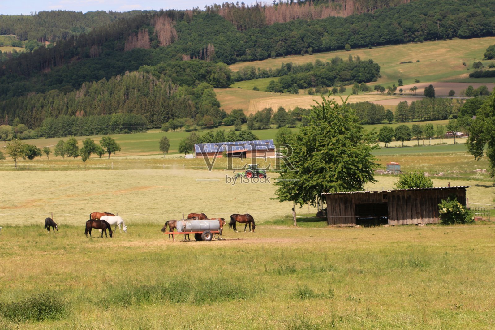 德国的田园和和谐照片摄影图片