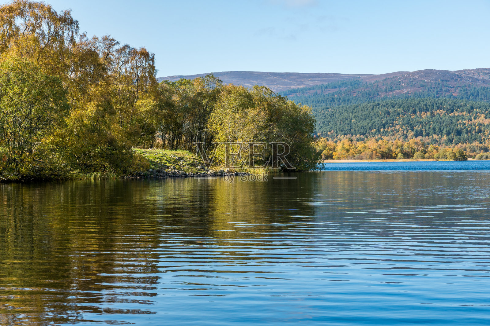 金奈德湖照片摄影图片