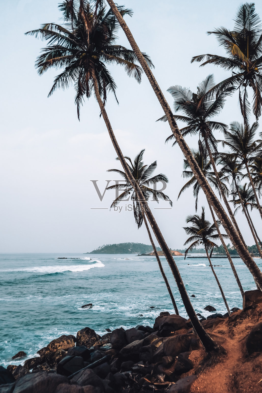 梅里萨海滩附近的椰子树山地标照片摄影图片