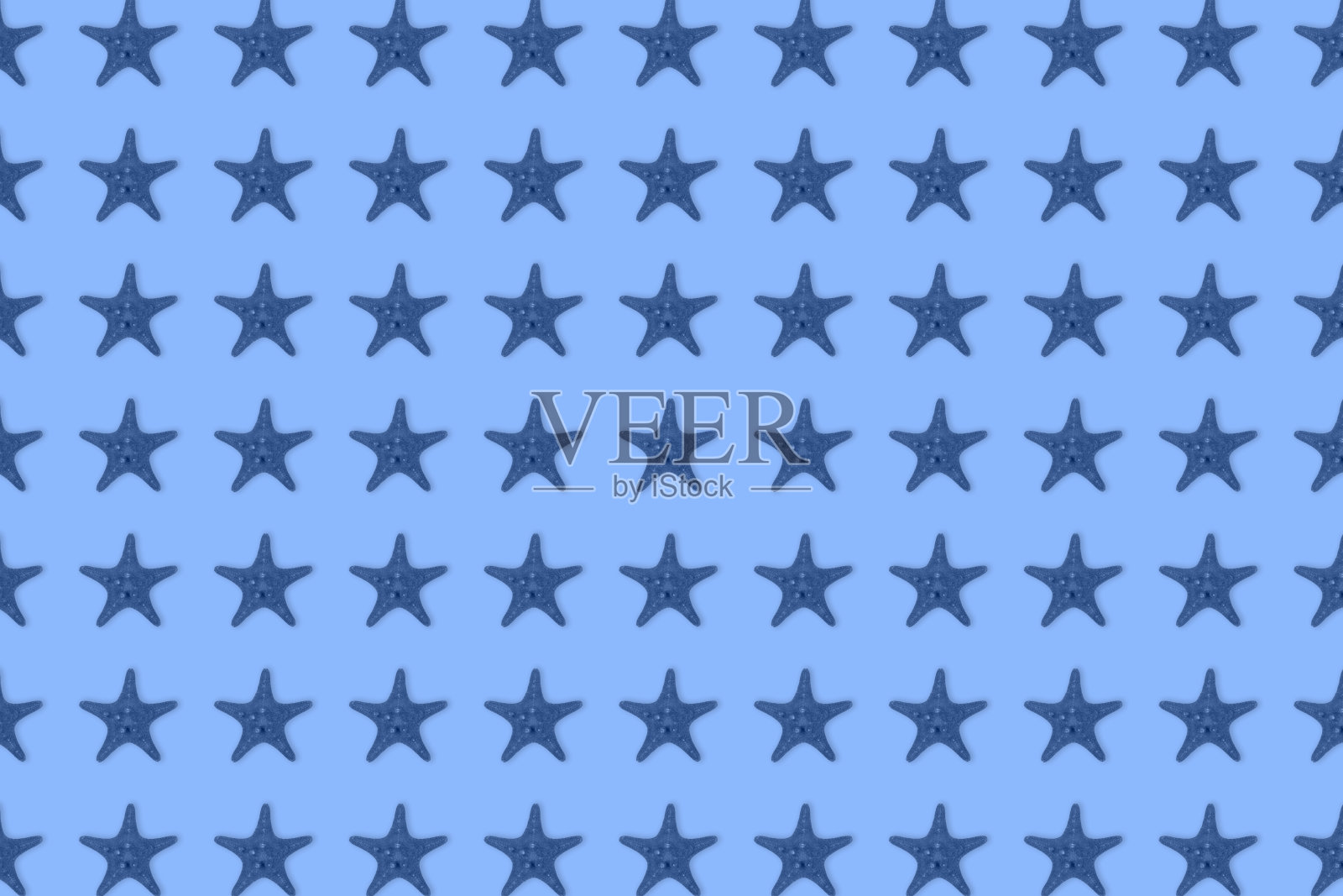 干色调在蓝色背景上的蓝色海星鱼图案。照片摄影图片