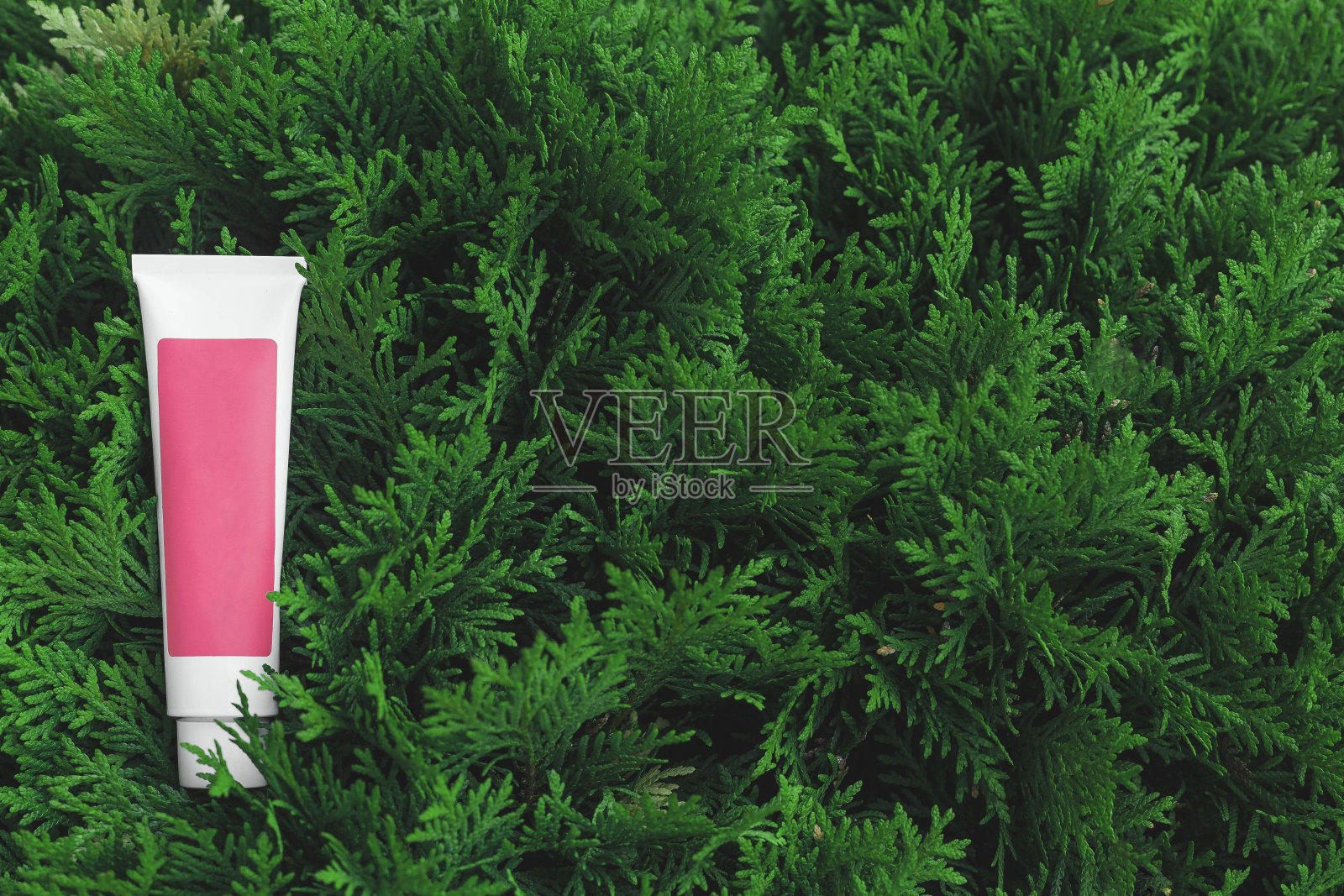 在天然植物的绿叶上有一管粉红色的化妆品，标签上没有名字照片摄影图片