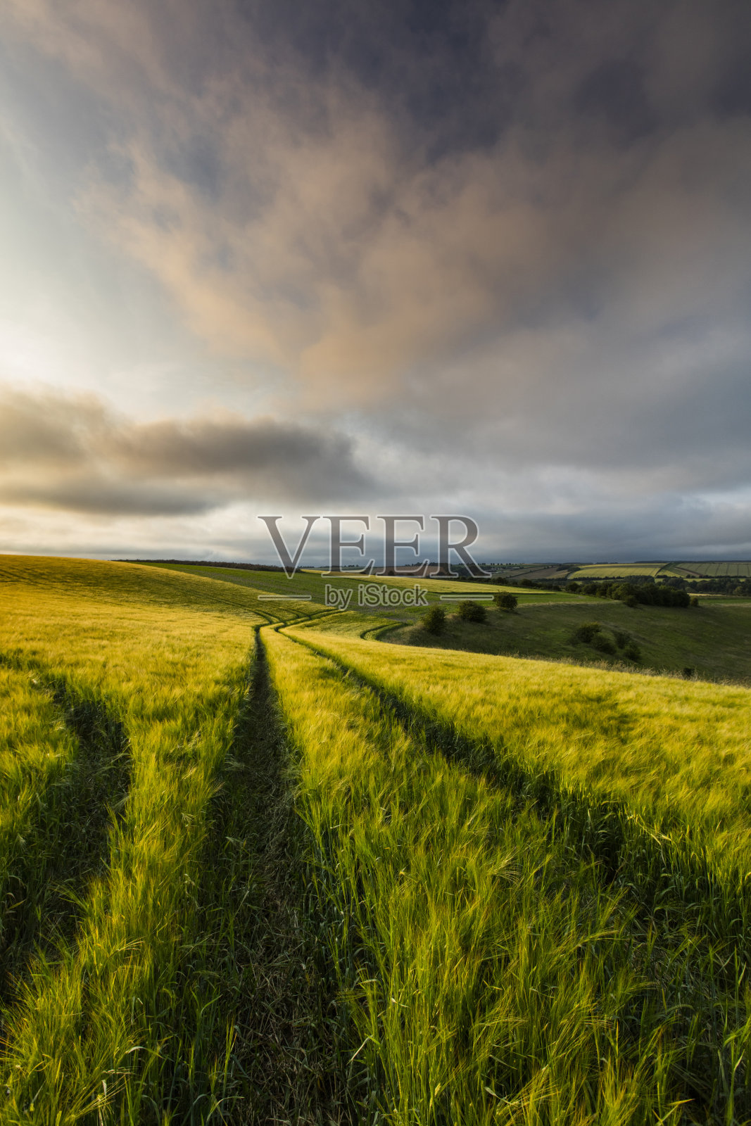 2017年7月，英国林肯郡，蓝石希思路照片摄影图片