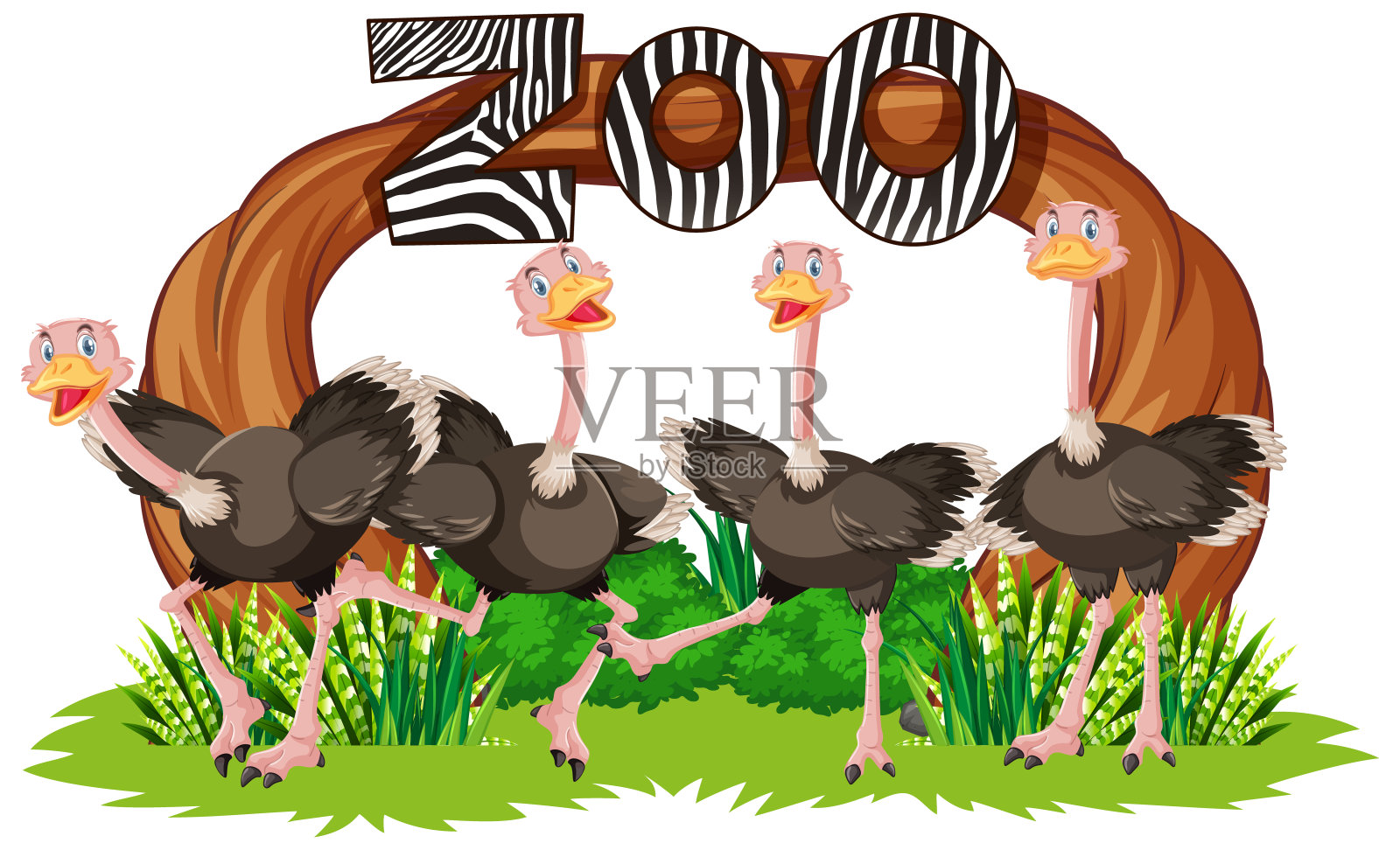 鸵鸟在动物园的横幅前插画图片素材