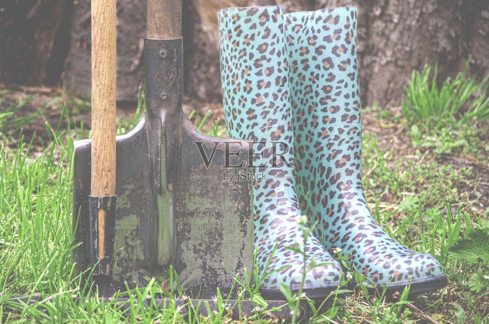 园艺工具和园艺鞋放在花园里照片摄影图片