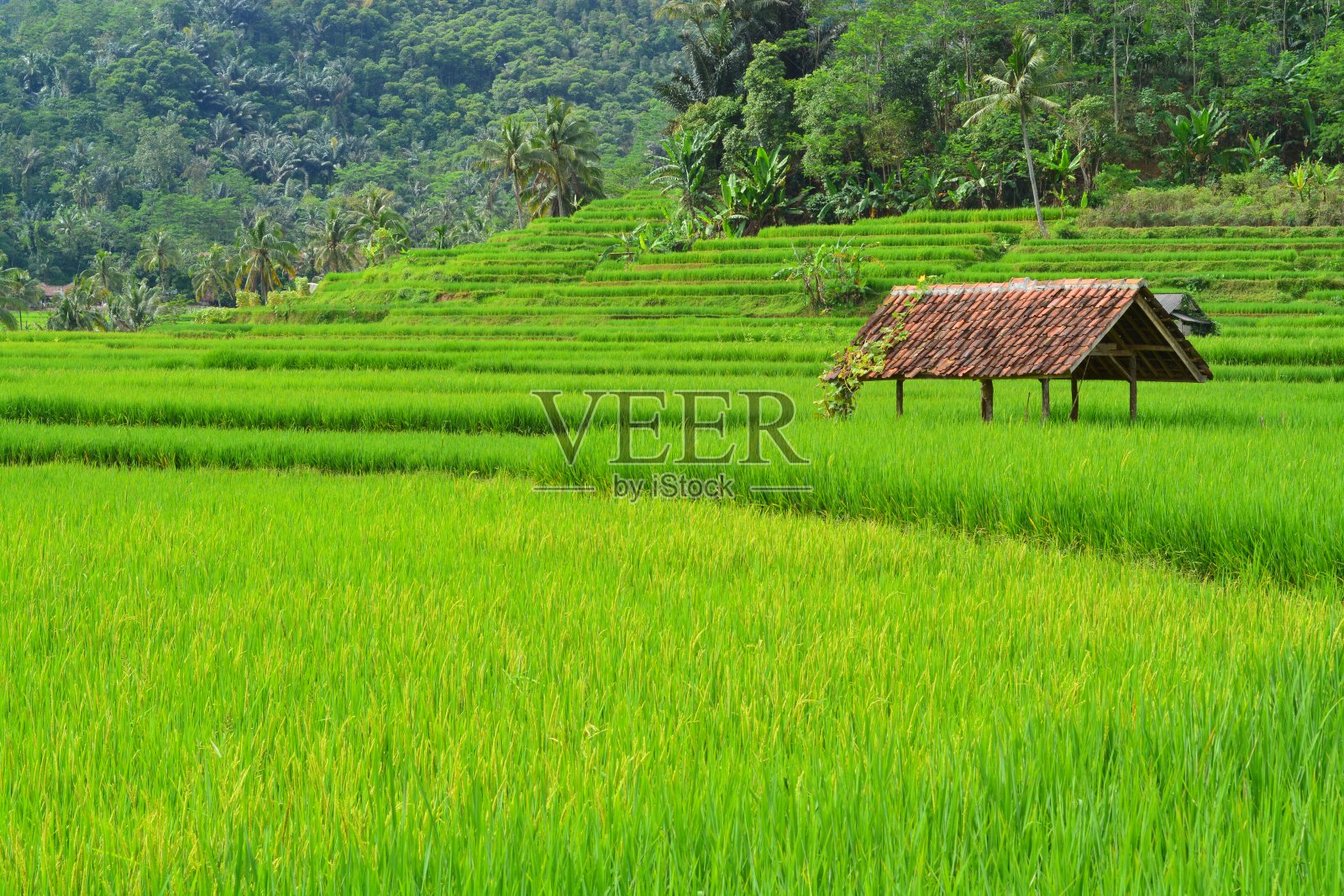 天堂里寂寞的小屋照片摄影图片