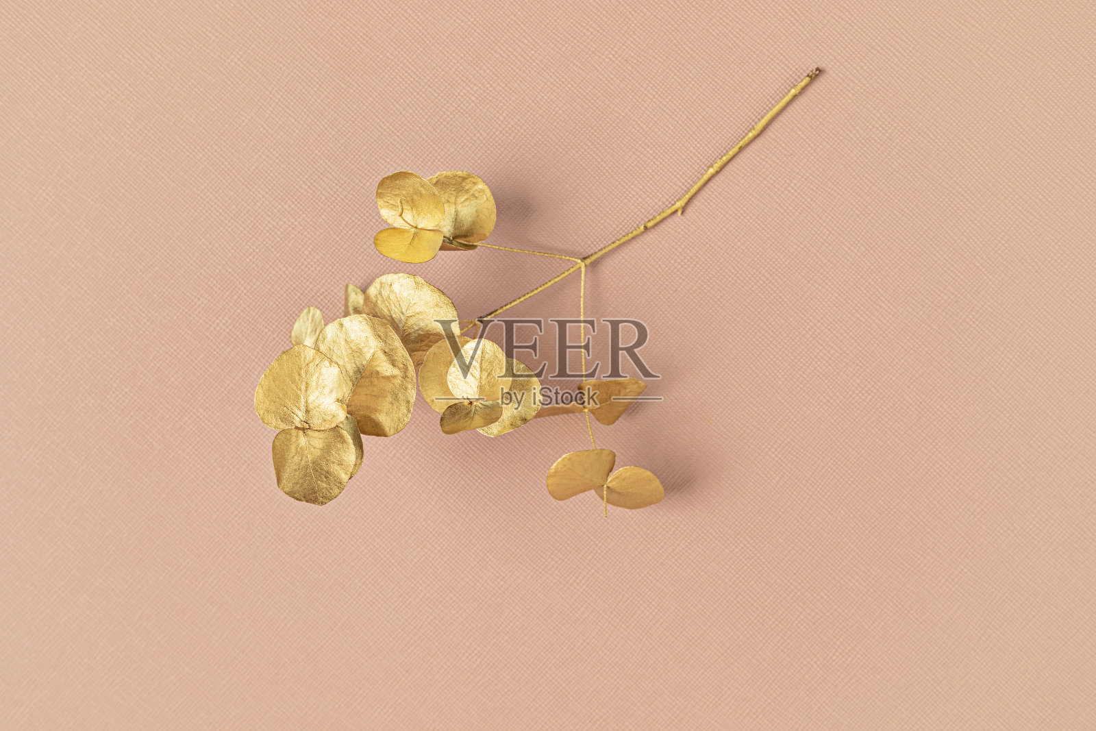 粉红色背景上的金色桉树枝。俯视图，文本复制空间。节日，精致的植物风格背景照片摄影图片