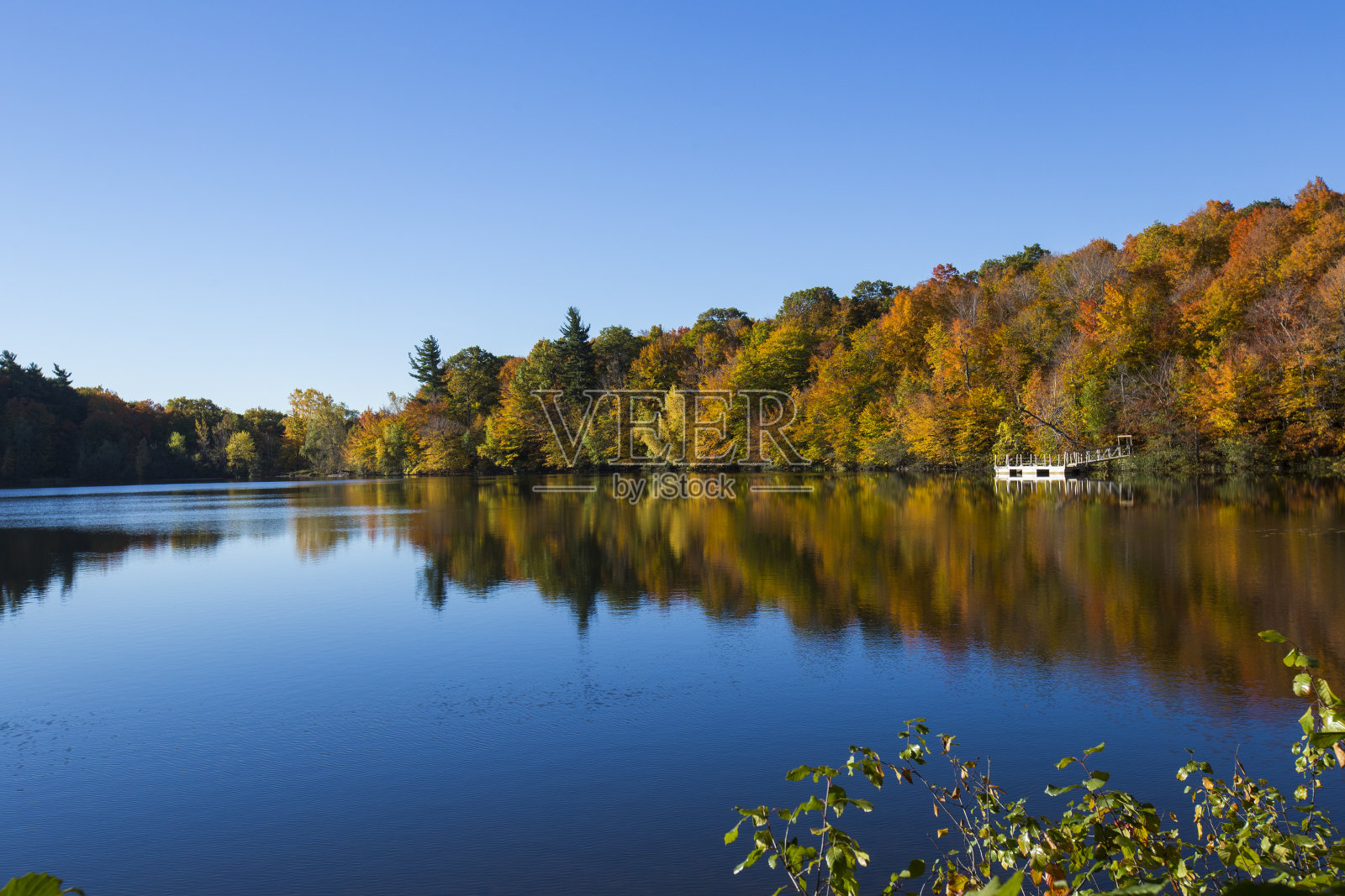 圣布鲁诺山国家公园的秋天照片摄影图片