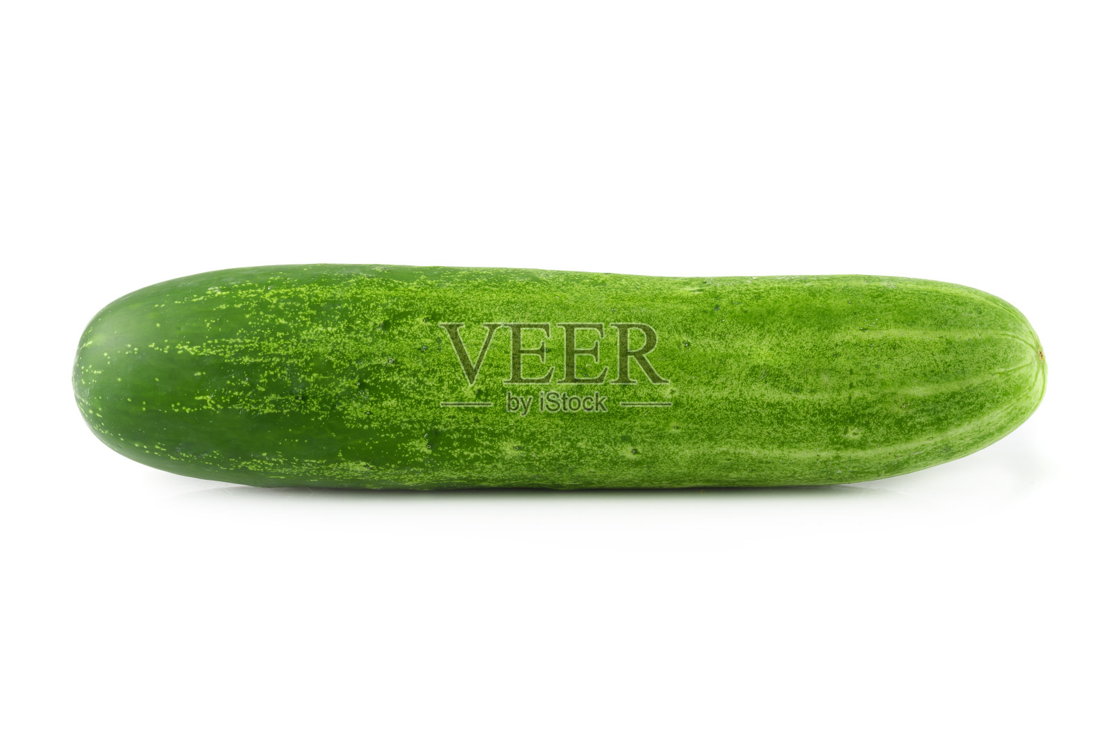 鲜绿黄瓜孤立在白色背景照片摄影图片