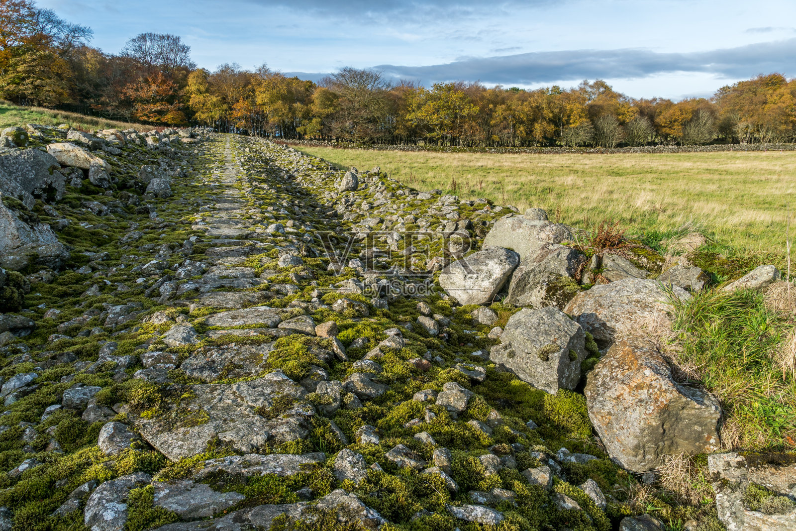广泛的堤坝照片摄影图片