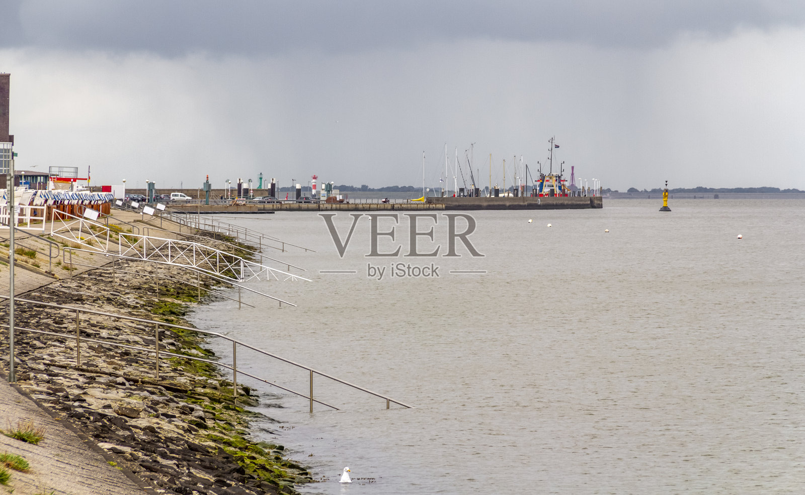 威廉港周围的海岸风景照片摄影图片