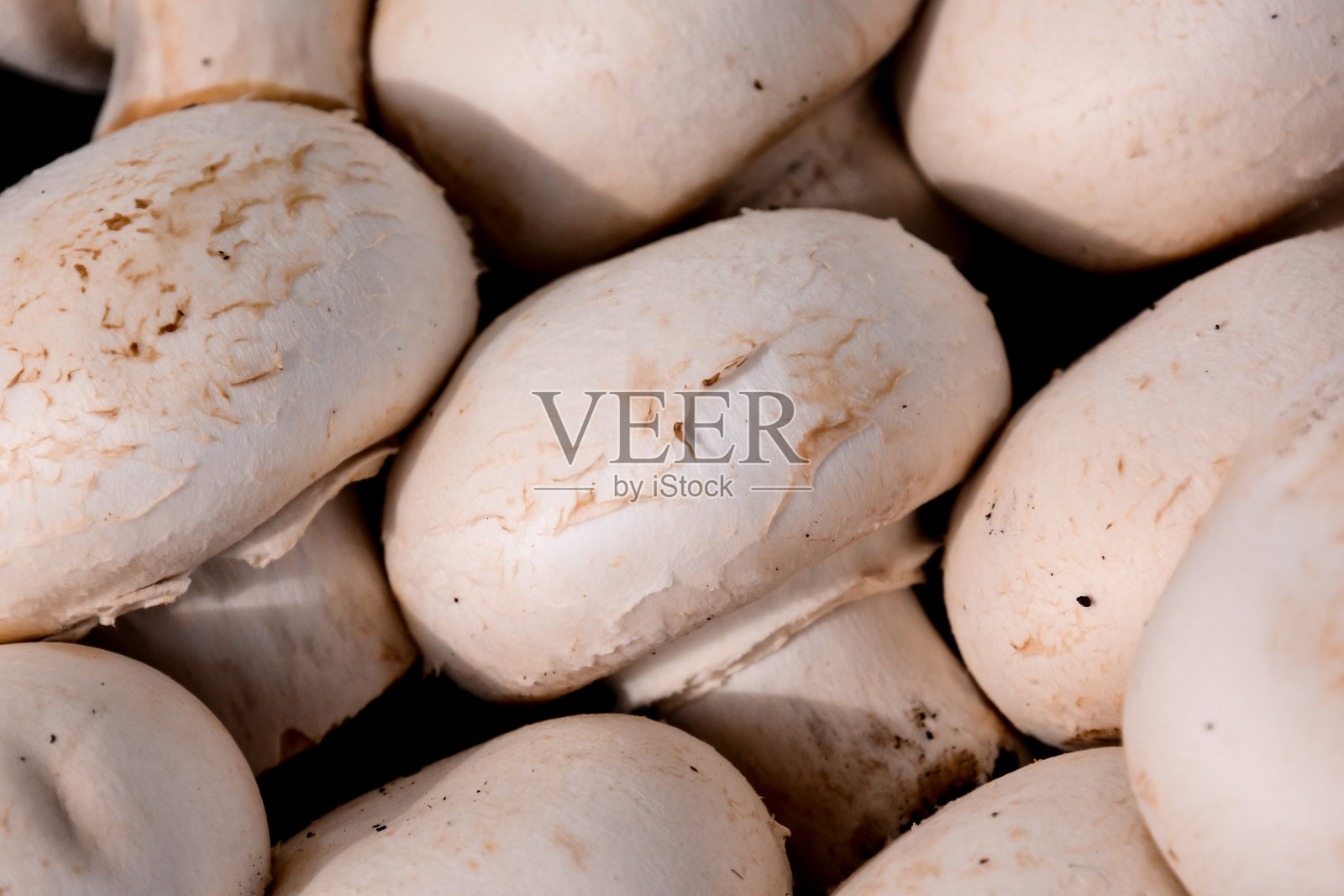 白蘑菇的食物照片摄影图片