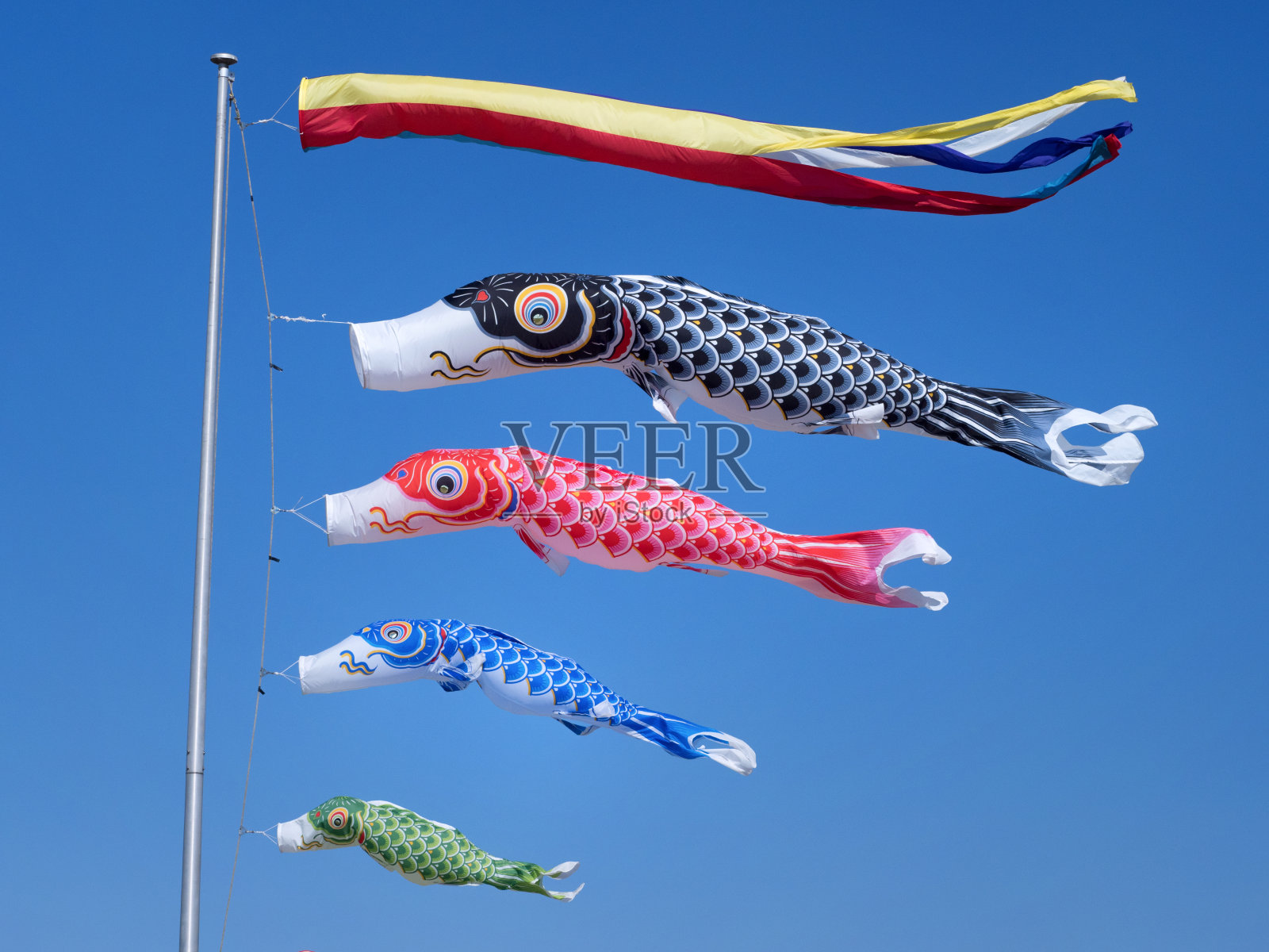 鲤鱼飘飘在蓝天照片摄影图片