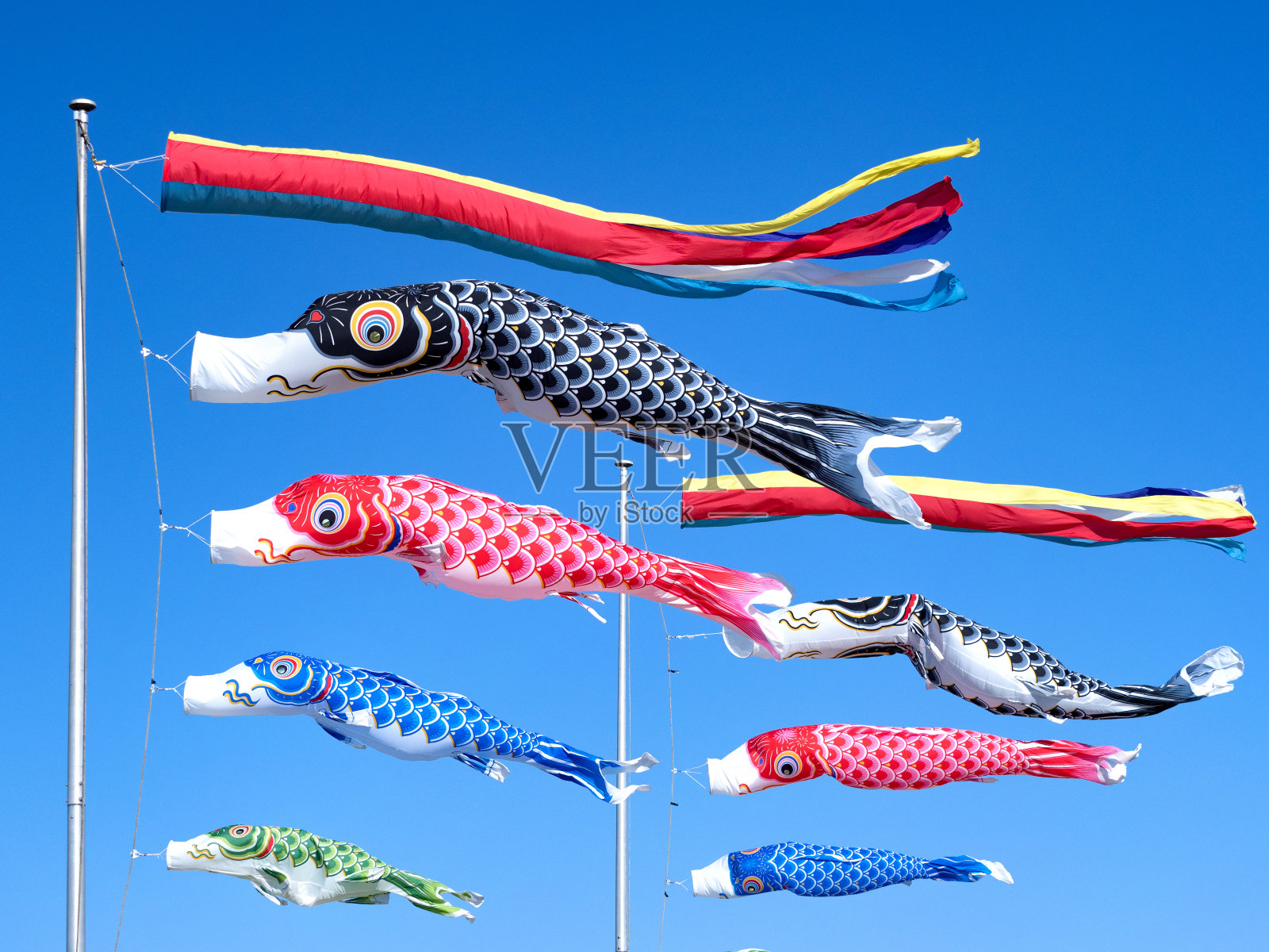 鲤鱼飘飘在蓝天照片摄影图片