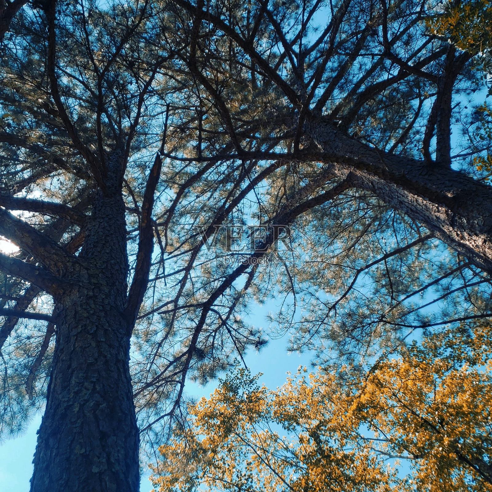 宁静照片摄影图片
