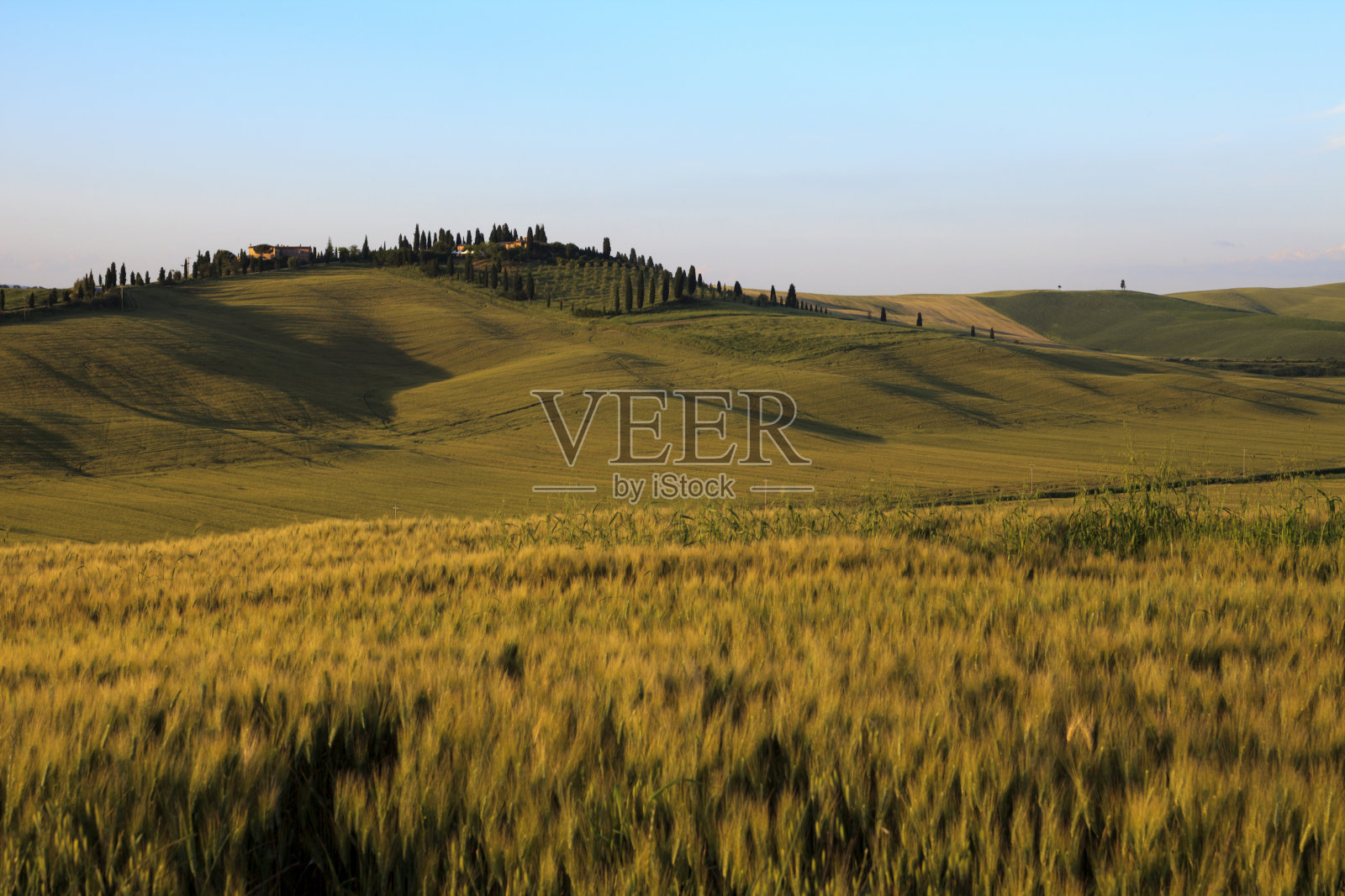 克里特岛塞内西的典型场景照片摄影图片